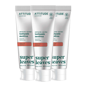 【健康生活精選】ATTITUDE Fluoride 牙膏 3|Pack | 海外代購-口腔護理-FIT MART 香港智能健康及運動生活用品專門店:筋膜槍、瑜伽輔助工具、智能健身設備