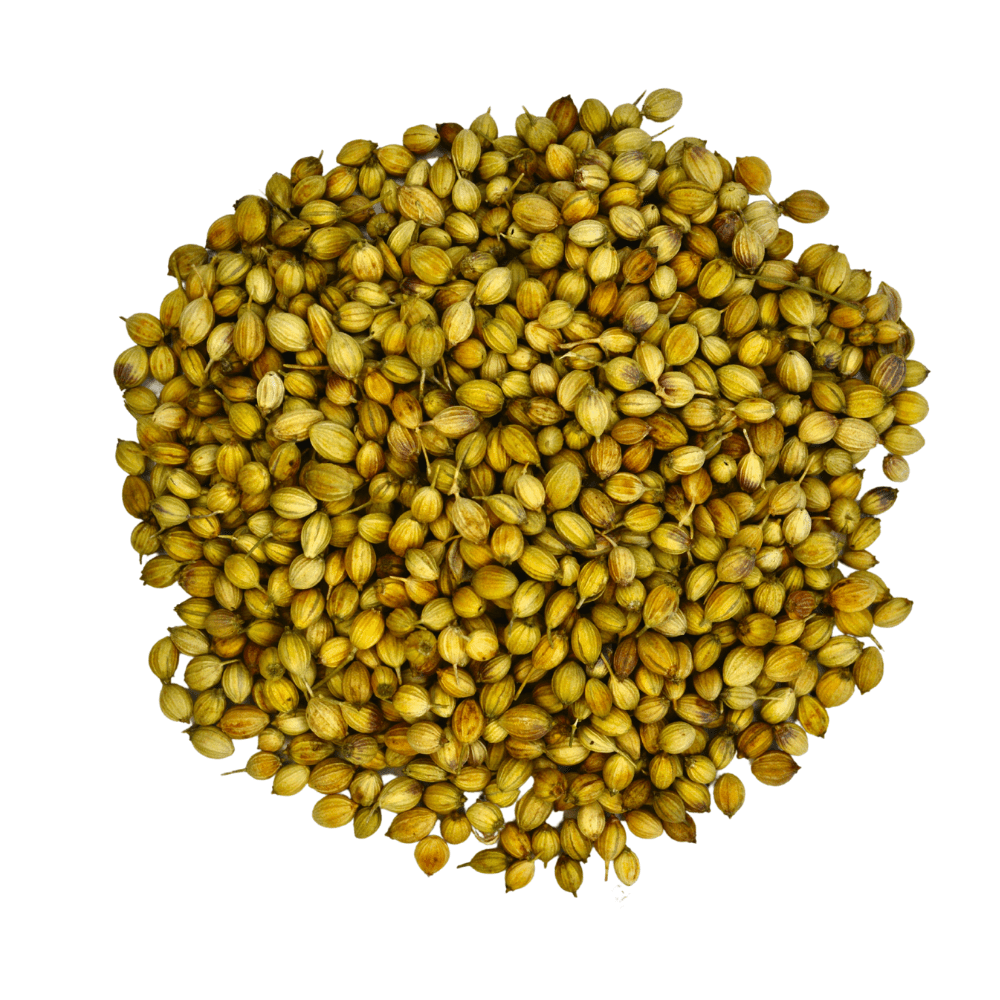 Gathering Place Trading 有機 原粒 芫荽籽 籽｜戶外運動及日常生活 | 海外代購-香料及調味料-FIT MART 香港智能健康及運動生活用品專門店：筋膜槍、瑜伽輔助工具、智能健身設備