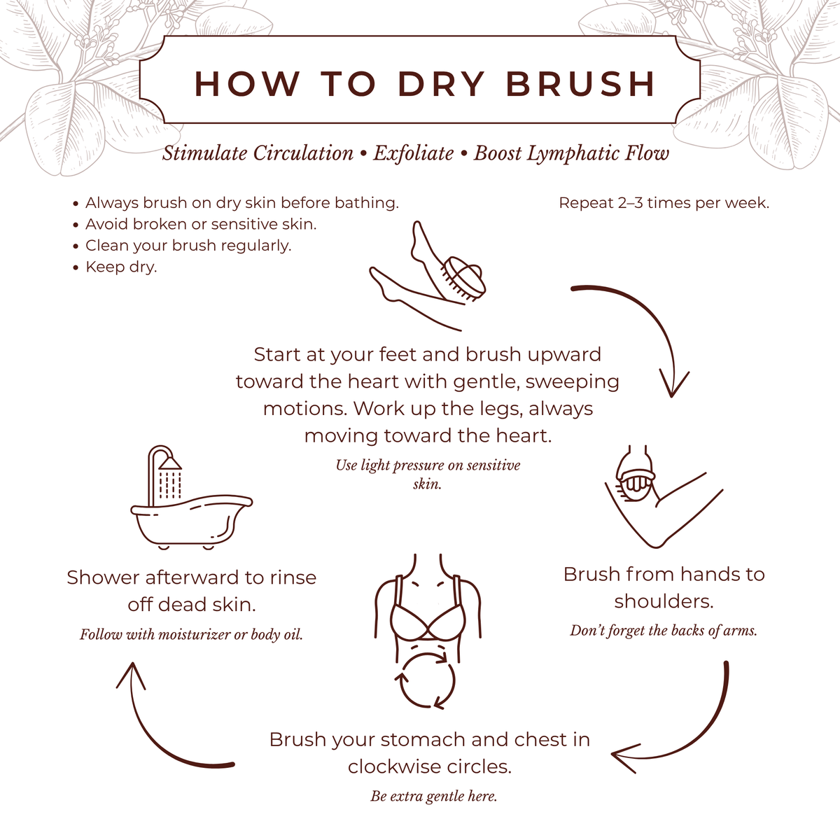 Cocoon Apothecary Dry Body Brush 護膚用品｜日常生活及個人護理 | 海外代購-護膚及個人護理用品-FIT MART 香港智能健康及運動生活用品專門店：筋膜槍、瑜伽輔助工具、智能健身設備
