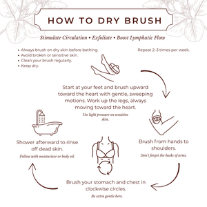 Cocoon Apothecary Dry Body Brush 護膚用品｜日常生活及個人護理 | 海外代購-護膚及個人護理用品-FIT MART 香港智能健康及運動生活用品專門店：筋膜槍、瑜伽輔助工具、智能健身設備