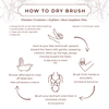 Cocoon Apothecary Dry Body Brush 護膚用品 產品細節圖 3