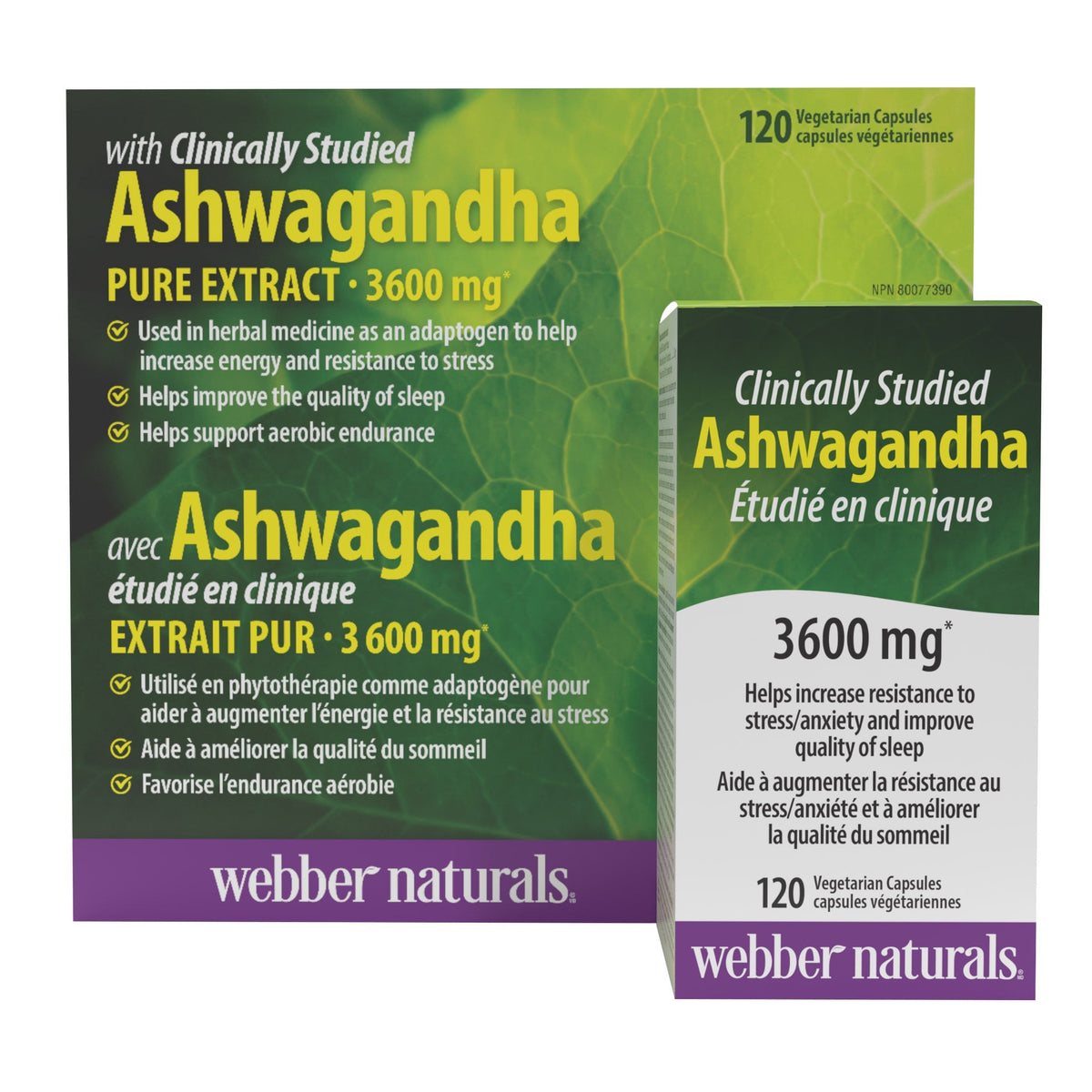 Webber Naturals 南非醉茄 3600mg 素食膠囊 (120粒 x 2樽)-Supplements-FIT MART 香港智能健康及運動生活用品專門店：筋膜槍、瑜伽輔助工具、智能健身設備