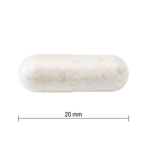 Jamieson 50+ 成人益生菌複合配方 (30粒 x 3樽) | 海外代購-Medicines-FIT MART 香港智能健康及運動生活用品專門店：筋膜槍、瑜伽輔助工具、智能健身設備