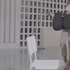 Microtouch人體工學腰靠護腰支撐腰墊 (標準版)